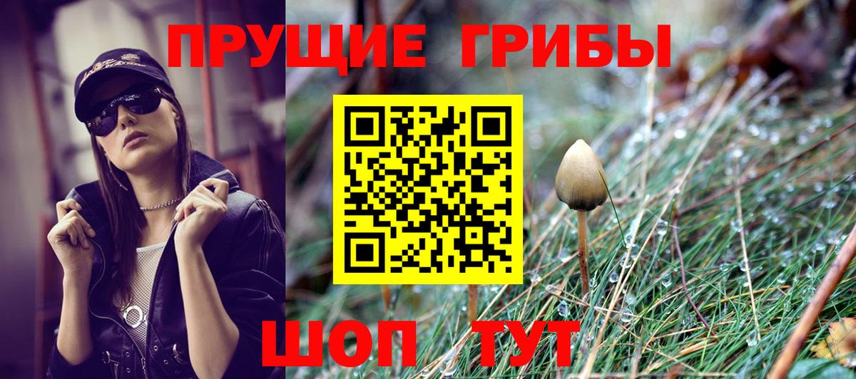 Галлюциногенные грибы прущие грибы  купить   Заринск  Вход с VPN 